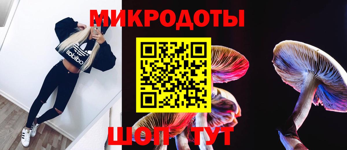 Майкоп  Псилоцибиновые грибы мухоморы  Вход с VPN 
